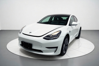 特斯拉 Model 3(进口) 2019款 长续航后驱版