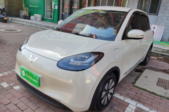 五菱汽车 五菱缤果 2023款 333km 灵犀互联+款