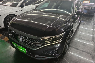 大众 帕萨特 2024款 380TSI 豪华版
