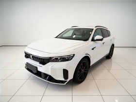 岚图汽车 岚图FREE 2025款 318 318km 后驱环游版