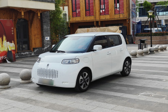 欧拉白猫 2020款 305km 豪华型