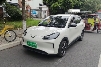 五菱汽车 五菱缤果PLUS 2024款 330km 五座版