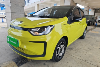 思皓 花仙子 2021款 集美版 302km 豪华型