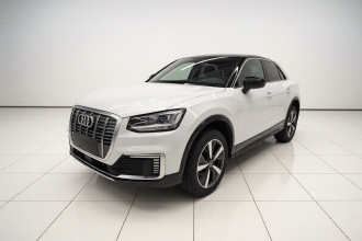 奥迪Q2L e-tron 2019款 Q2L e-tron 纯电智酷型