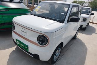 吉利银河 2024款 熊猫mini 200km 耐力熊