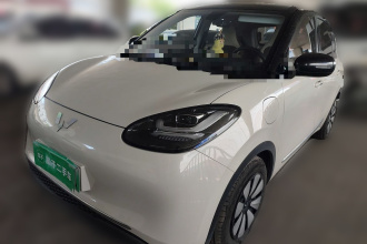 五菱汽车 五菱缤果 2023款 410km 灵犀尊享款