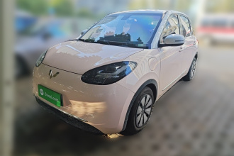五菱汽车 五菱缤果 2023款 410km 灵犀尊享款