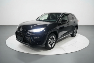 丰田 威兰达 2022款 2.0L CVT两驱豪华PLUS版