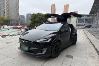 特斯拉 Model X 2019款 长续航版