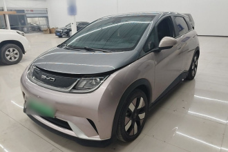 比亚迪 海豚 2021款 401km 骑士版