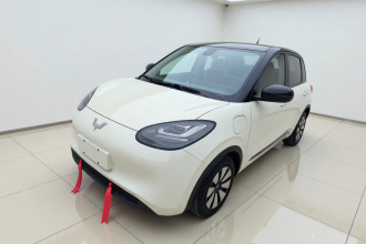五菱汽车 五菱缤果 2023款 333km 灵犀互联+款