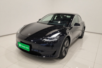 特斯拉 Model 3 2020款 标准续航后驱升级版