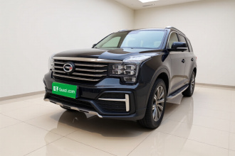 广汽传祺 传祺GS8 2020款 390T 两驱豪华智联版（七座）