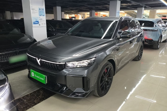 岚图汽车 岚图FREE 2025款 318 318km 后驱环游版