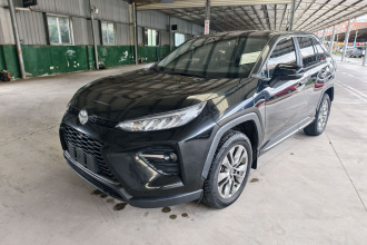 丰田 威兰达 2023款 2.0L CVT两驱领先版