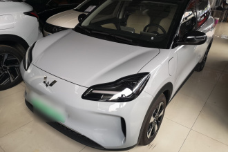 五菱汽车 五菱缤果PLUS 2024款 401km 五座版