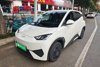 比亚迪 海鸥 2025款 智驾版 305km 活力版