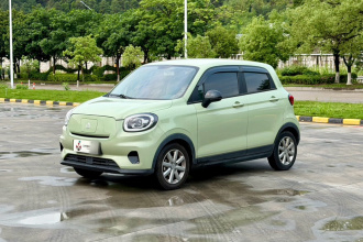 零跑汽车 零跑T03 2022款 珠光版