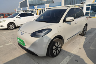 五菱汽车 五菱缤果 2024款 333km 悦享款