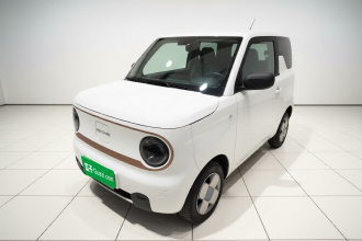 吉利银河 2024款 熊猫mini 200km 耐力熊