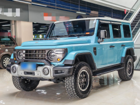 212 T01 2025款 2.0T 长风