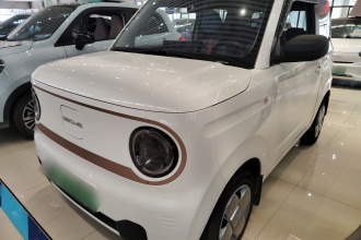 吉利银河 2024款 熊猫mini 200km 龙腾PRO版