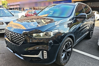 魏牌 VV6 2021款 2.0T 两驱智享+