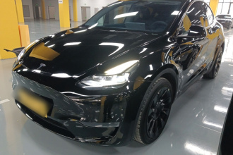 特斯拉 Model Y 2024款 长续航全轮驱动版