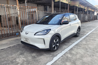 五菱汽车 五菱缤果PLUS 2024款 330km 五座版