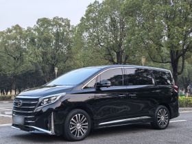 广汽传祺 传祺M8 2023款 领秀系列 390T 尊贵版