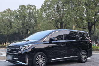 广汽传祺 传祺M8 2023款 领秀系列 390T 尊贵版