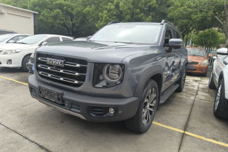 哈弗大狗 2021款 1.5T DCT两驱边牧-旺财版