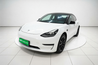 特斯拉 Model 3 2019款 标准续航后驱升级版