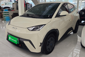 比亚迪 海鸥 2024款 荣耀版 305km 活力版