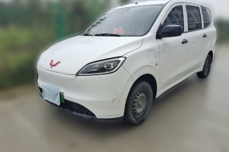 五菱汽车 五菱宏光新能源 2024款 纯电版 300KM 标准型