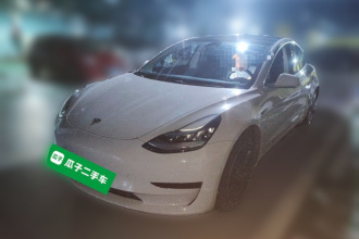 特斯拉 Model 3 2019款 标准续航后驱升级版