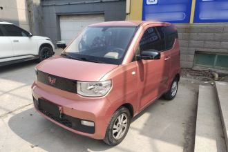 五菱汽车 宏光MINIEV 2020款 轻松款 磷酸铁锂