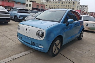 欧拉黑猫 2021款 301km 基础型