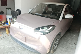 五菱汽车 五菱缤果 2023款 203km 舒享款