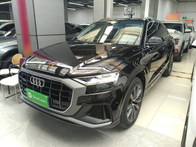 奥迪Q8 2019款 45 TFSI 臻选动感型