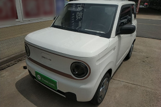 吉利银河 2023款 熊猫mini 200km 耐力熊