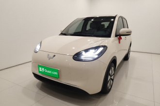 五菱汽车 五菱缤果 2024款 333km 悦享款