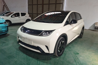 比亚迪 海豚 2021款 405km 时尚版