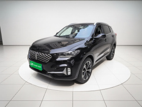 魏牌 VV6 2020款 2.0T 两驱智享+