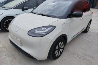 五菱汽车 五菱缤果 2023款 333km 灵犀互联款