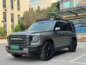 哈弗猛龙新能源 2023款 Hi4 145 探索版