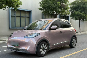五菱汽车 五菱缤果 2023款 333km 灵犀互联+款