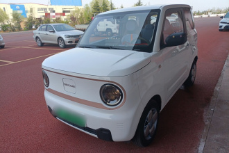 吉利银河 2024款 熊猫mini 200km 龙腾PRO版