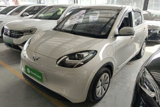 五菱汽车 五菱缤果 2023款 333km 快享款