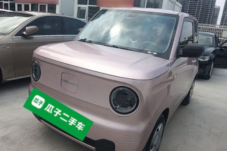 吉利银河 2024款 熊猫mini 200km 耐力熊